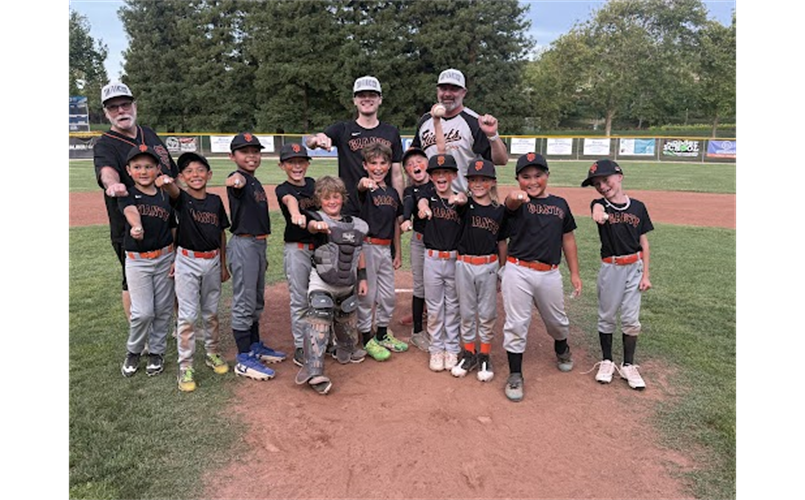 Giants - AA Divisional Champions
